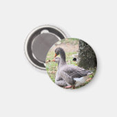 Geese Magneet (Voorkant / Achterkant)