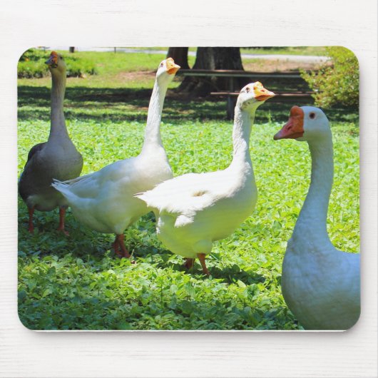 Geese Muismat (Voorkant)
