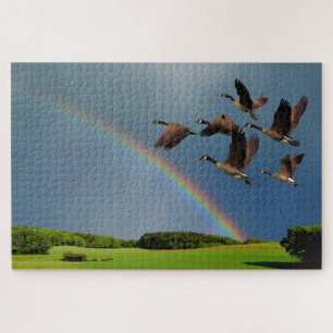 GEESE OVER DE RAINBOW LEGPUZZEL