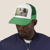 Geese Trucker Pet (In situ)