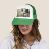 Geese Trucker Pet (In situ)