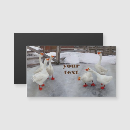 Geese wit (Voorkant / Achterkant)