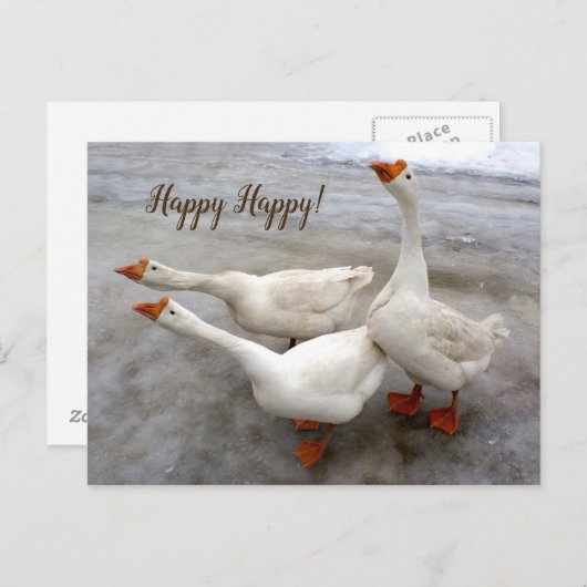 Geese wit briefkaart (Voorkant / Achterkant)