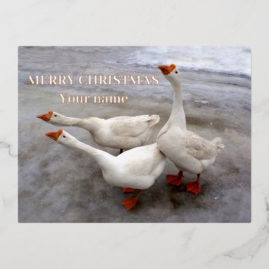 Geese wit folie feestdagen briefkaart (Voorkant)