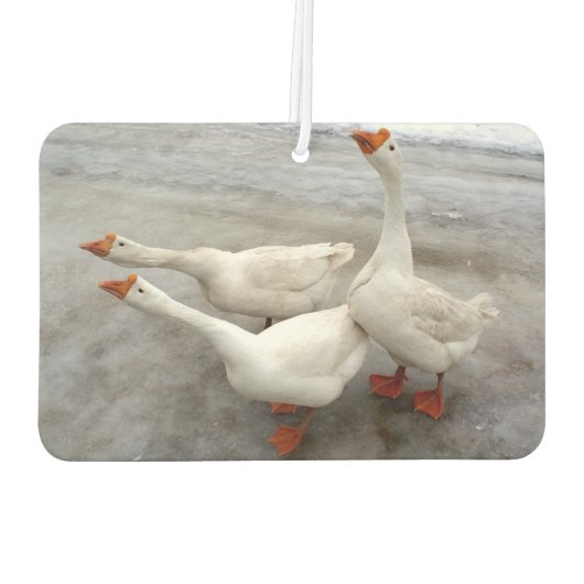 Geese wit luchtverfrisser