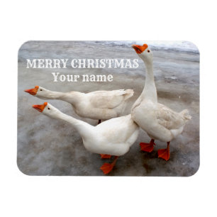 Geese wit magneet
