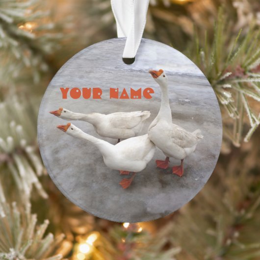 Geese wit ornament (Boom)