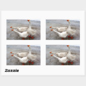 Geese wit rechthoekige sticker (Vel)