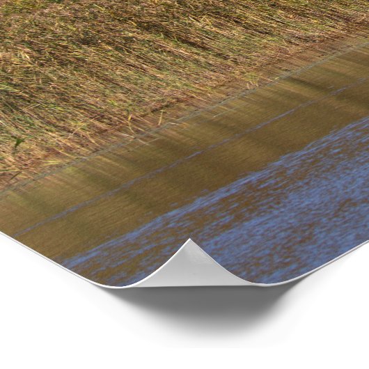 Geese with Autumn Trees Poster (Coin)