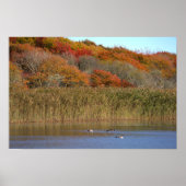 Geese with Autumn Trees Poster (Voorkant)