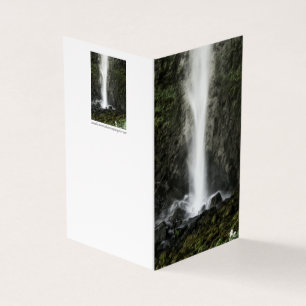 Geest van de Basin Kaart