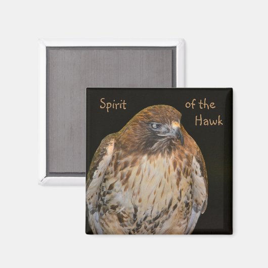 Geest van de Hawk Magneet (Voorkant / Achterkant)