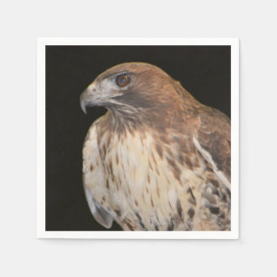 Geest van de Hawk Servetten