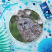 Geest van de hol papieren bordje (Feest)