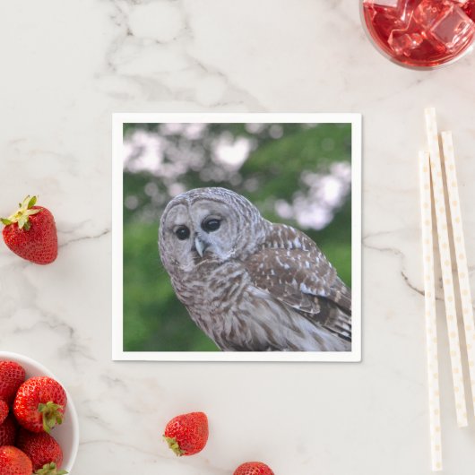 Geest van de hol servetten (Insitu)