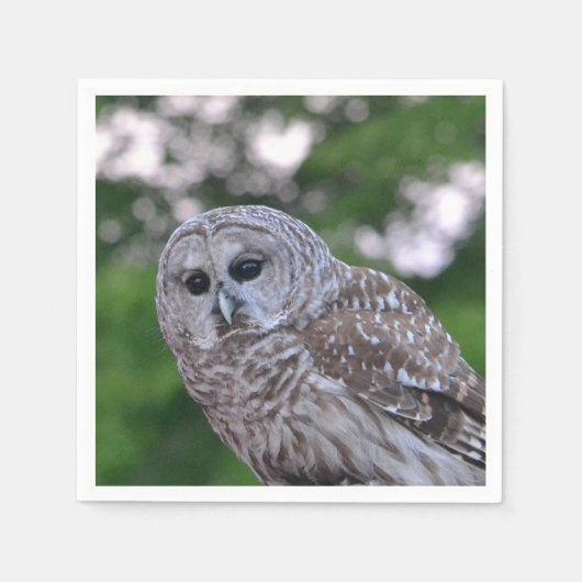 Geest van de hol servetten (Voorkant)