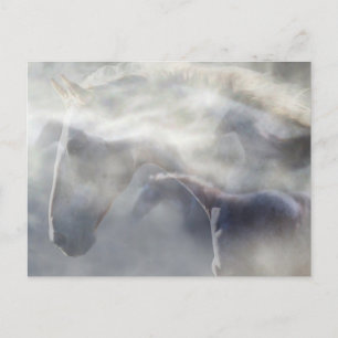 Geest van de Paard Briefkaart