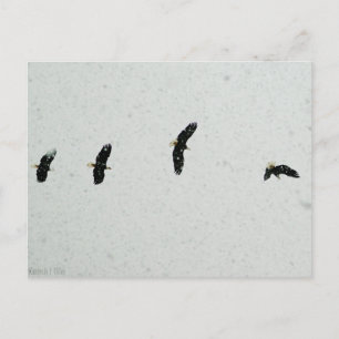 Geest van de vlucht briefkaart