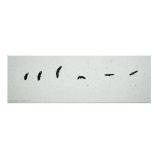 Geest van de vlucht foto afdruk