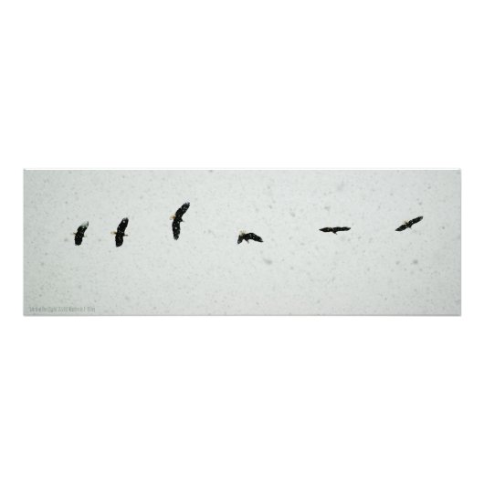 Geest van de vlucht foto afdruk (Voorkant)