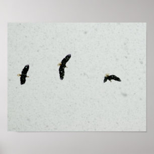 Geest van de vlucht poster
