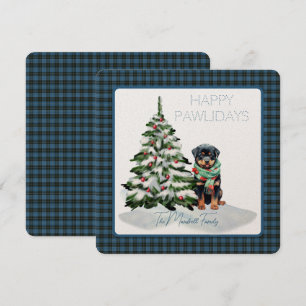 Geestelijken Oude Tartan Gelukkige Pawholidays Hon