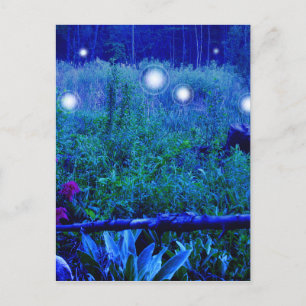 Geestverlichte Blauwe Nacht Moerassige Weide Bolle Briefkaart