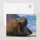geeuwen briefkaart (Voorkant / Achterkant)