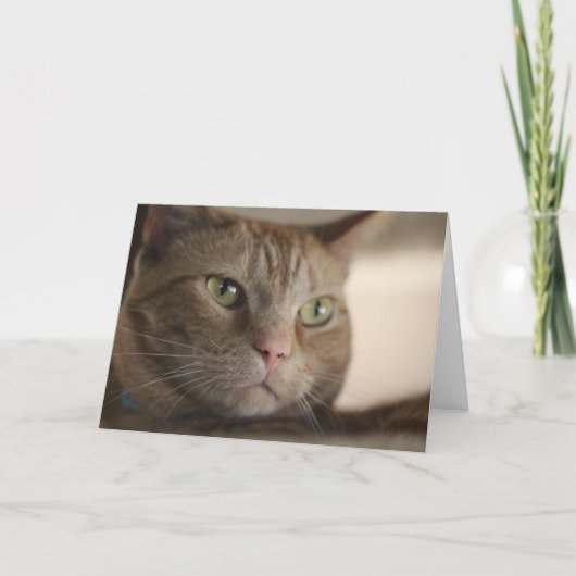 Gefasceerd Kaart (Voorkant)