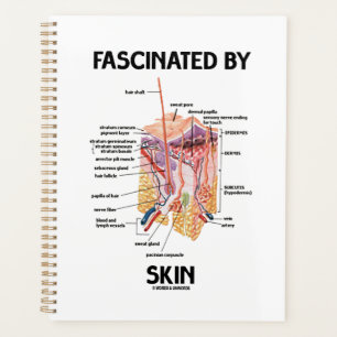 Gefascineerd door de huid (anatomische huidlagen) planner