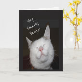 Gefeliciteerd Afstuderen Humor Kitten Animal Kaart (Gele Bloem)