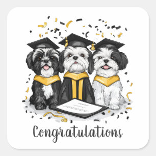Gefeliciteerd Afstuderen Shih Tzu Dogs Vierkante Sticker