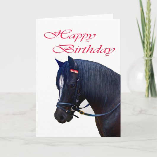 Gefeliciteerd, Black Welsh Pony. Kaart (Voorkant)