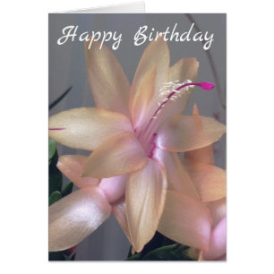 *~* Gefeliciteerd Bloem fotografie Aanpassen