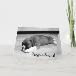 Gefeliciteerd Boxer Dog wenskaart Kaart