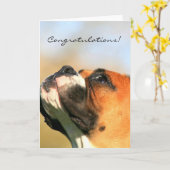 Gefeliciteerd Boxer Dog Wenskaart Kaart (Gele Bloem)