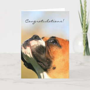 Gefeliciteerd Boxer Dog Wenskaart Kaart