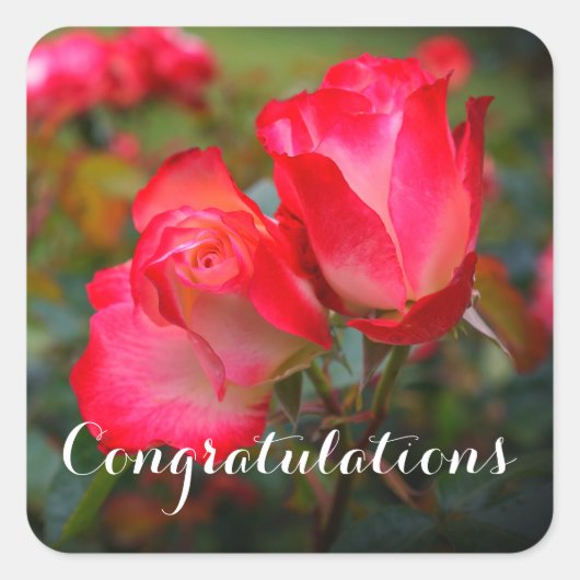 Gefeliciteerd Cherry Parfait Roos #4-3 Stickers (Voorkant)