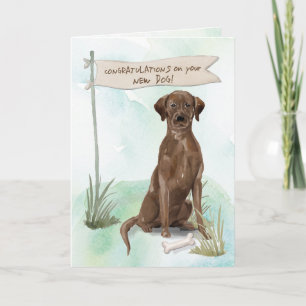 Gefeliciteerd Chocolade Lab met nieuwe hond Kaart