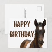 Gefeliciteerd Colt Paard Briefkaart (Voorkant / Achterkant)