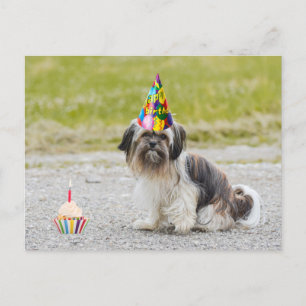 Gefeliciteerd Cute Hond Met Cupcake Briefkaart