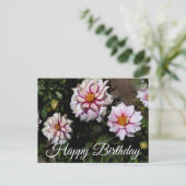 Gefeliciteerd Dahlia Edge of Joy #1 Ansichtkaart Briefkaart (Staand voorkant)