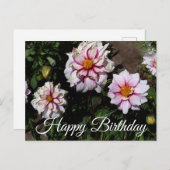 Gefeliciteerd Dahlia Edge of Joy #1 Ansichtkaart Briefkaart (Voorkant / Achterkant)