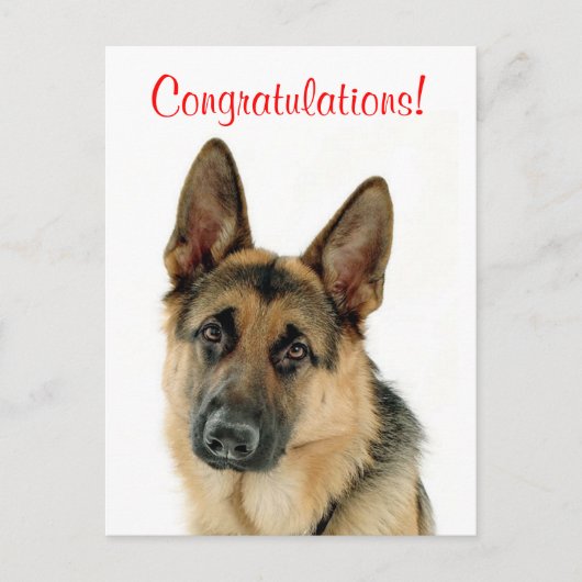 Gefeliciteerd Duitse Herder Puppy Dog Briefkaart (Voorkant)