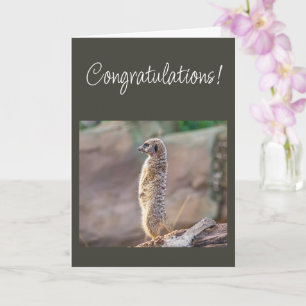 Gefeliciteerd Je bent uitstekend! Kaart