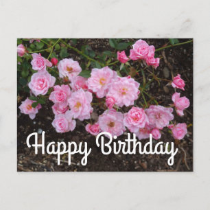 Gefeliciteerd Jeanne LaJoie Rose #1 Ansichtkaart Briefkaart