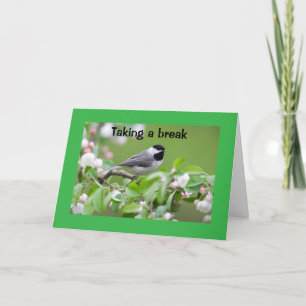 **GEFELICITEERD!!!!!** KAART