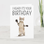 Gefeliciteerd | Kitten op wit Kaart (Voorkant)