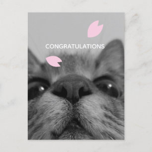 Gefeliciteerd lege ansichtkaart briefkaart