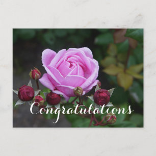 Gefeliciteerd met Briefkaart Castle #1 van bisscho